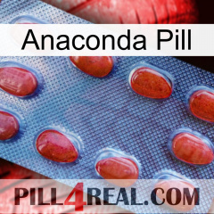 Anaconda Pill 06